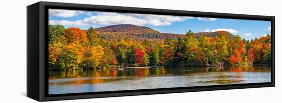 Trees reflection on water, Sally's Pond, West Bolton, Quebec, Canada-null-Framed Stretched Canvas