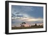 Trees Silhouetted Against a Pastel Sunset Sky in Chapada Dos Veadeiros National Park-Alex Saberi-Framed Photographic Print