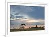 Trees Silhouetted Against a Pastel Sunset Sky in Chapada Dos Veadeiros National Park-Alex Saberi-Framed Photographic Print