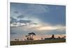 Trees Silhouetted Against a Pastel Sunset Sky in Chapada Dos Veadeiros National Park-Alex Saberi-Framed Photographic Print