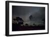 Trees Silhouetted Against a Star Filled Sky in Chapada Dos Veadeiros National Park-Alex Saberi-Framed Photographic Print