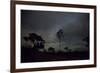 Trees Silhouetted Against a Star Filled Sky in Chapada Dos Veadeiros National Park-Alex Saberi-Framed Photographic Print