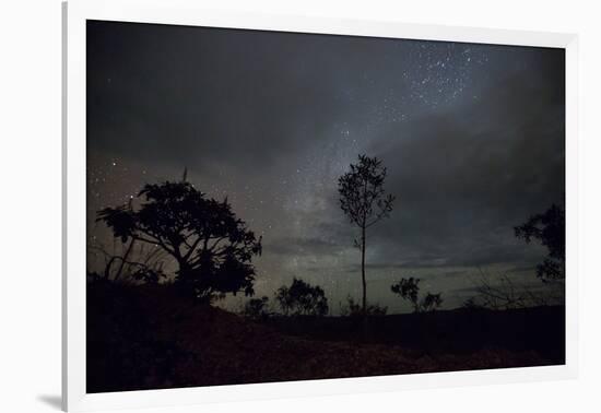 Trees Silhouetted Against a Star Filled Sky in Chapada Dos Veadeiros National Park-Alex Saberi-Framed Photographic Print