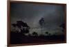 Trees Silhouetted Against a Star Filled Sky in Chapada Dos Veadeiros National Park-Alex Saberi-Framed Photographic Print