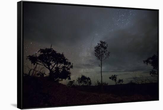 Trees Silhouetted Against a Star Filled Sky in Chapada Dos Veadeiros National Park-Alex Saberi-Framed Stretched Canvas