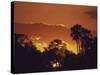 Trees Silhouetted Against the Botswana Sunset-Stuart Westmoreland-Stretched Canvas