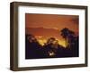 Trees Silhouetted Against the Botswana Sunset-Stuart Westmoreland-Framed Photographic Print