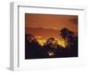 Trees Silhouetted Against the Botswana Sunset-Stuart Westmoreland-Framed Photographic Print