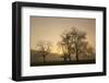 Trees Silhouetted at Sunrise, Cades Cove, Great Smoky Mountains, National Park, Tennessee-Adam Jones-Framed Photographic Print