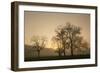 Trees Silhouetted at Sunrise, Cades Cove, Great Smoky Mountains, National Park, Tennessee-Adam Jones-Framed Photographic Print