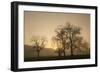 Trees Silhouetted at Sunrise, Cades Cove, Great Smoky Mountains, National Park, Tennessee-Adam Jones-Framed Photographic Print