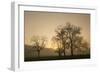 Trees Silhouetted at Sunrise, Cades Cove, Great Smoky Mountains, National Park, Tennessee-Adam Jones-Framed Photographic Print