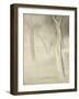 Trees (Study for La Grande Jatte), 1884-Georges Seurat-Framed Giclee Print