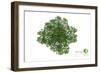 Trees Top View for Landscape Vector Illustration Decorative Branch Silhouette and Green Leaves-NIKHOMKEDBAN-Framed Art Print