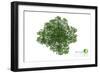 Trees Top View for Landscape Vector Illustration Decorative Branch Silhouette and Green Leaves-NIKHOMKEDBAN-Framed Art Print