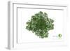 Trees Top View for Landscape Vector Illustration Decorative Branch Silhouette and Green Leaves-NIKHOMKEDBAN-Framed Art Print