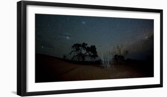 Trees under a Starry Sky at Night Namib-Naukluft National Park-Alex Saberi-Framed Premium Photographic Print