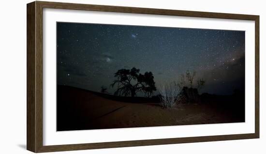 Trees under a Starry Sky at Night Namib-Naukluft National Park-Alex Saberi-Framed Photographic Print
