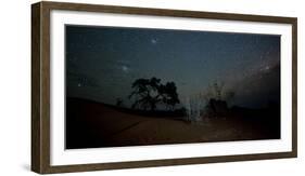 Trees under a Starry Sky at Night Namib-Naukluft National Park-Alex Saberi-Framed Photographic Print