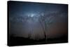 Trees under a Starry Sky, with the Milky Way in the Namib Desert, Namibia-Alex Saberi-Stretched Canvas