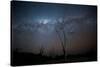 Trees under a Starry Sky, with the Milky Way in the Namib Desert, Namibia-Alex Saberi-Stretched Canvas