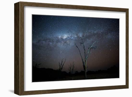 Trees under a Starry Sky, with the Milky Way in the Namib Desert, Namibia-Alex Saberi-Framed Photographic Print