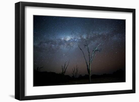 Trees under a Starry Sky, with the Milky Way in the Namib Desert, Namibia-Alex Saberi-Framed Photographic Print