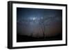 Trees under a Starry Sky, with the Milky Way in the Namib Desert, Namibia-Alex Saberi-Framed Photographic Print