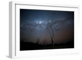 Trees under a Starry Sky, with the Milky Way in the Namib Desert, Namibia-Alex Saberi-Framed Photographic Print