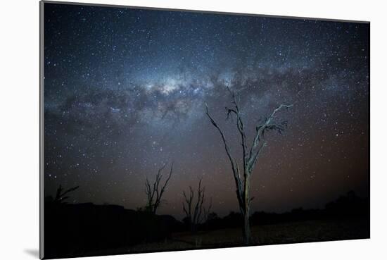 Trees under a Starry Sky, with the Milky Way in the Namib Desert, Namibia-Alex Saberi-Mounted Photographic Print