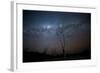 Trees under a Starry Sky, with the Milky Way in the Namib Desert, Namibia-Alex Saberi-Framed Photographic Print