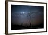 Trees under a Starry Sky, with the Milky Way in the Namib Desert, Namibia-Alex Saberi-Framed Photographic Print