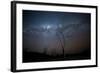 Trees under a Starry Sky, with the Milky Way in the Namib Desert, Namibia-Alex Saberi-Framed Photographic Print