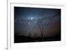 Trees under a Starry Sky, with the Milky Way in the Namib Desert, Namibia-Alex Saberi-Framed Photographic Print