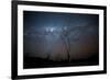 Trees under a Starry Sky, with the Milky Way in the Namib Desert, Namibia-Alex Saberi-Framed Photographic Print