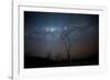 Trees under a Starry Sky, with the Milky Way in the Namib Desert, Namibia-Alex Saberi-Framed Photographic Print