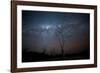 Trees under a Starry Sky, with the Milky Way in the Namib Desert, Namibia-Alex Saberi-Framed Photographic Print