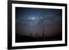 Trees under a Starry Sky, with the Milky Way in the Namib Desert, Namibia-Alex Saberi-Framed Photographic Print