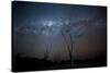 Trees under a Starry Sky, with the Milky Way in the Namib Desert, Namibia-Alex Saberi-Stretched Canvas