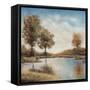 Trees upon the Water I-Jason Javara-Framed Stretched Canvas