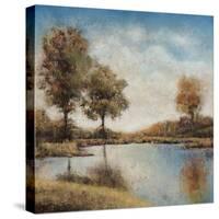 Trees Upon the Water I-Jason Jarava-Stretched Canvas