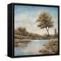 Trees upon the Water II-Jason Javara-Framed Stretched Canvas