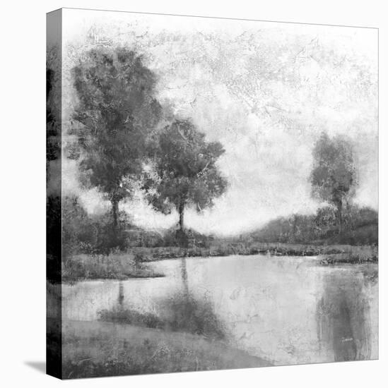 Trees upon the Water III-Jason Jarava-Stretched Canvas