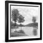 Trees upon the Water III-Jason Jarava-Framed Giclee Print