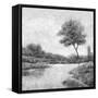 Trees upon the Water IV-Jason Jarava-Framed Stretched Canvas