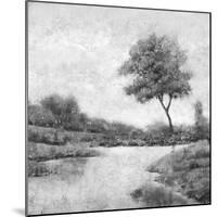 Trees upon the Water IV-Jason Jarava-Mounted Giclee Print