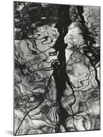 Trees, Water, Reflections, Holland, 1973-Brett Weston-Mounted Photographic Print