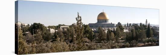 Trees with Mosque in the Background, Dome of the Rock, Temple Mount, Jerusalem, Israel-null-Stretched Canvas