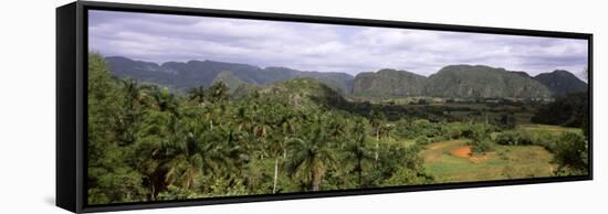 Trees with Mountain Range in Back, Valle De Vinales, Pinar Del Rio Province, Cuba-null-Framed Stretched Canvas