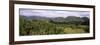 Trees with Mountain Range in Back, Valle De Vinales, Pinar Del Rio Province, Cuba-null-Framed Photographic Print